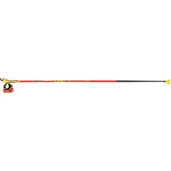 Pro- Skistaver Leki HRC MAX F
